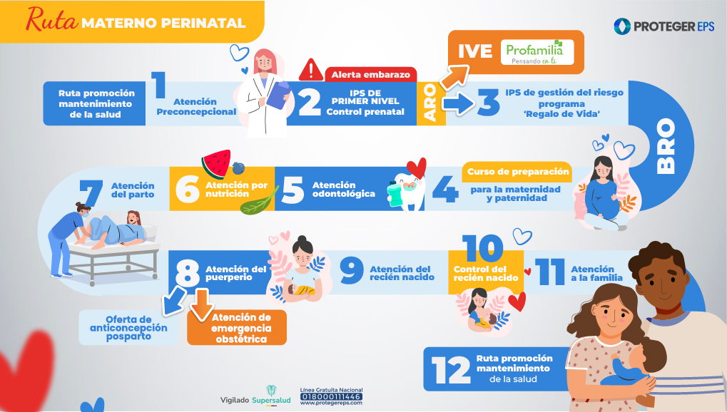 Infografía de Proteger EPS sobre los 12 pasos de la Ruta Materno Perinatal, desde la atención preconcepcional hasta el cuidado posparto